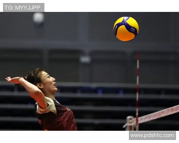 排球巨献：探秘杭州排球队的灵活性