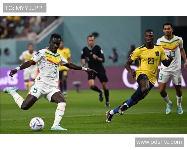 世界杯特别报道：深圳羽毛球队的逆袭之旅