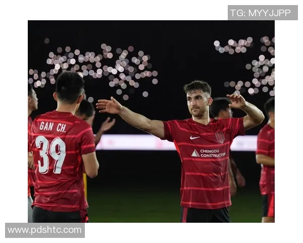 数据分析：成都足球队的实力表现